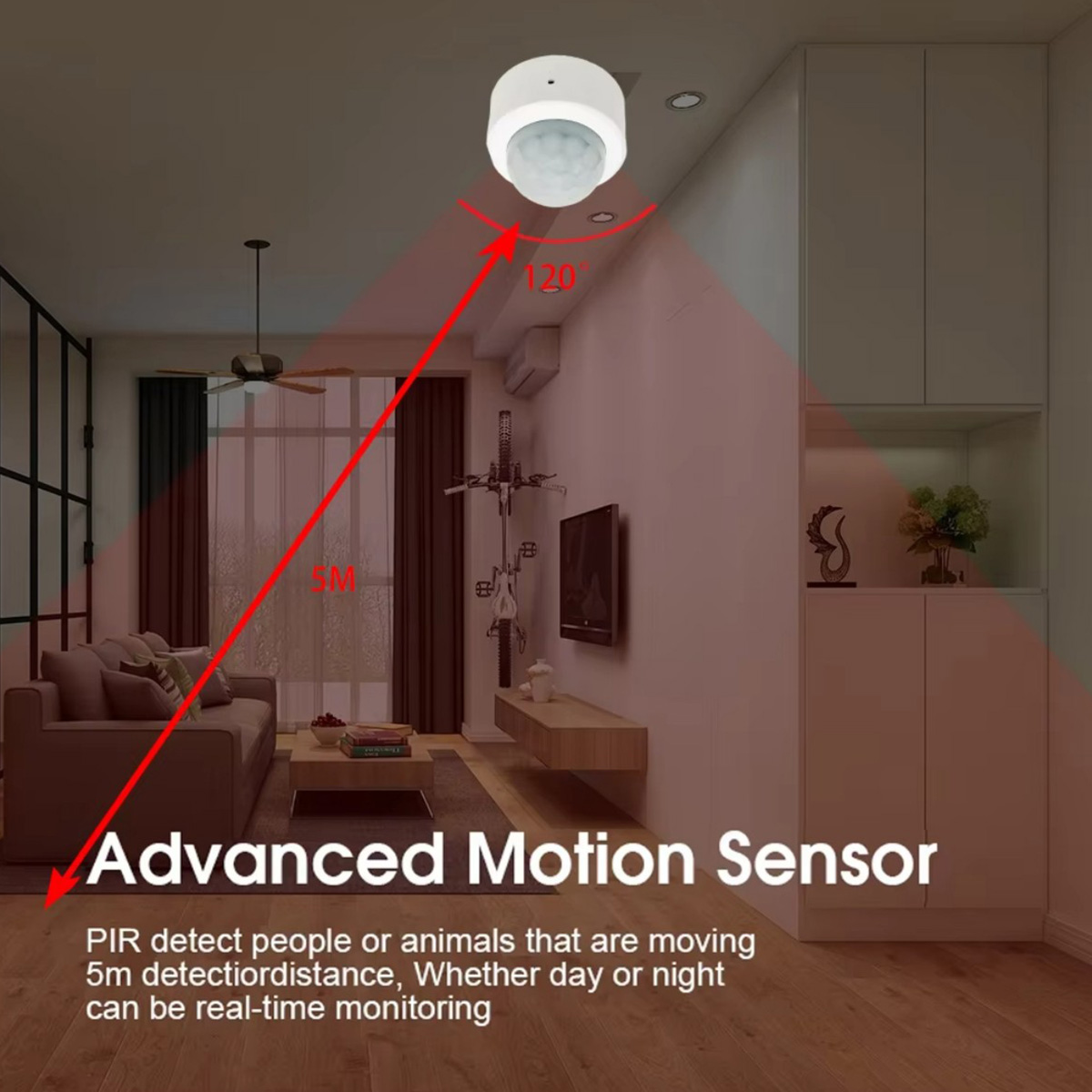 Zigbee PIR Motion Sensor Human - Home Security Technology 评论和价格