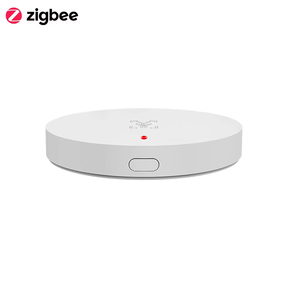 Tuya Zigbee 3.0 24GHz MmWave H - Home Security Technology 评论和价格