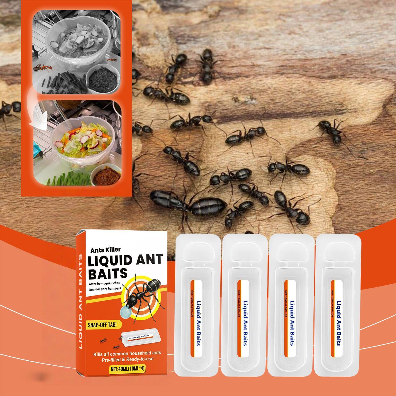 New Ant Bait Traps Indoor Ant  - Home Security Safe 评论和价格