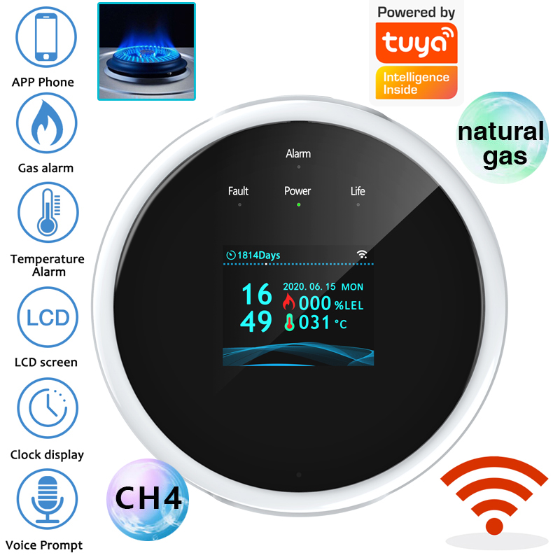 2.4G WiFi Gas Alarm Sensor Com - Home Security Equipment 评论和价格