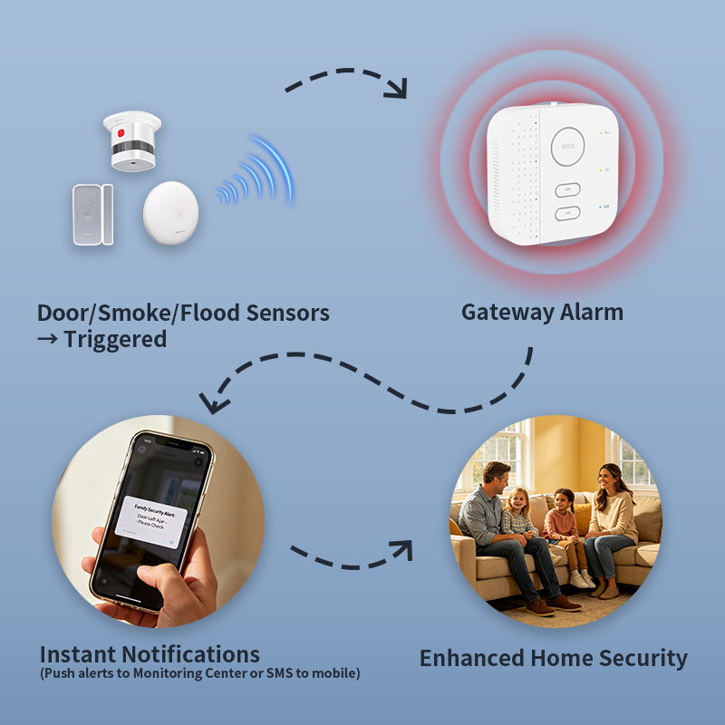 Smart Home Elderly Care Living - Home Security For Seniors 评论和价格